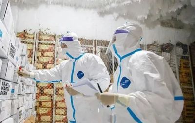 德茵菲科 低溫環境下的有效消殺防疫，守護水產品冷凍冷藏安全