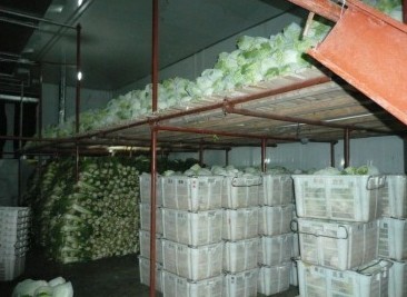 杭州食品冷庫 水產品冷鏈安全的守護者